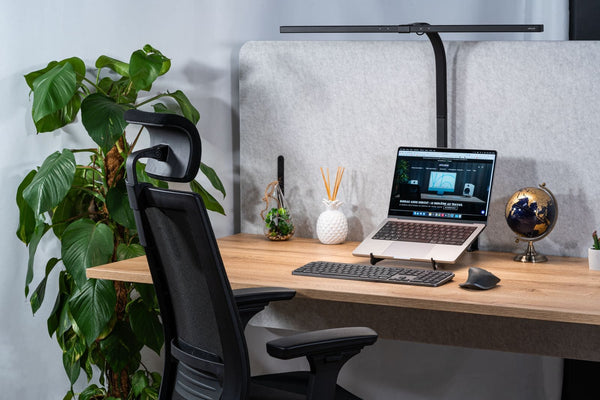 Chaise de bureau ergonomique MDPH pour le dos