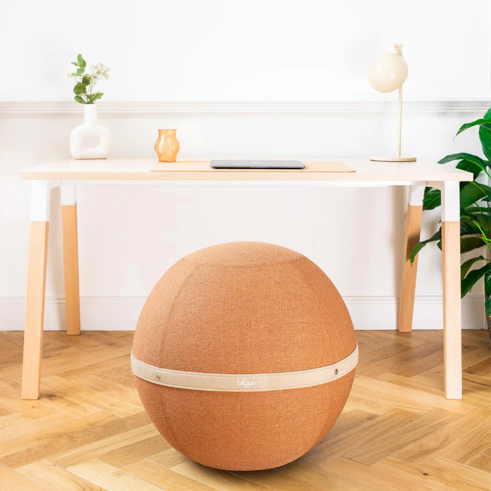 Ballon ergonomique pour bureau