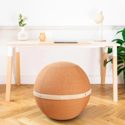 Ballon ergonomique pour bureau