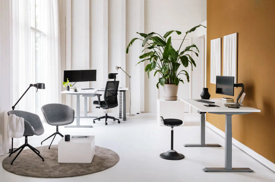 Bras Double Ecrans | Garantie à Vie | Adapt Ergonomics